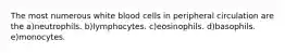 The most numerous white blood cells in peripheral circulation are the a)neutrophils. b)lymphocytes. c)eosinophils. d)basophils. e)monocytes.