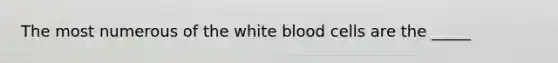 The most numerous of the white blood cells are the _____