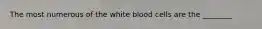 The most numerous of the white blood cells are the ________