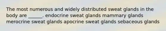 The most numerous and widely distributed sweat glands in the body are ______. endocrine sweat glands mammary glands merocrine sweat glands apocrine sweat glands sebaceous glands