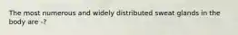 The most numerous and widely distributed sweat glands in the body are -?