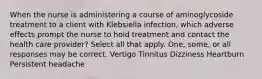 When the nurse is administering a course of aminoglycoside treatment to a client with Klebsiella infection, which adverse effects prompt the nurse to hold treatment and contact the health care provider? Select all that apply. One, some, or all responses may be correct. Vertigo Tinnitus Dizziness Heartburn Persistent headache