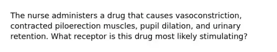 The nurse administers a drug that causes vasoconstriction, contracted piloerection muscles, pupil dilation, and urinary retention. What receptor is this drug most likely stimulating?