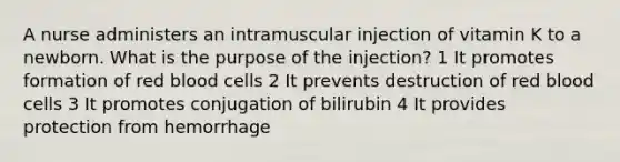 A nurse administers an intramuscular injection of vitamin K to a newborn. What is the purpose of the injection? 1 It promotes formation of red blood cells 2 It prevents destruction of red blood cells 3 It promotes conjugation of bilirubin 4 It provides protection from hemorrhage