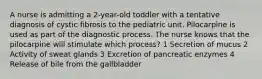 A nurse is admitting a 2-year-old toddler with a tentative diagnosis of cystic fibrosis to the pediatric unit. Pilocarpine is used as part of the diagnostic process. The nurse knows that the pilocarpine will stimulate which process? 1 Secretion of mucus 2 Activity of sweat glands 3 Excretion of pancreatic enzymes 4 Release of bile from the gallbladder