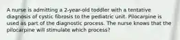 A nurse is admitting a 2-year-old toddler with a tentative diagnosis of cystic fibrosis to the pediatric unit. Pilocarpine is used as part of the diagnostic process. The nurse knows that the pilocarpine will stimulate which process?