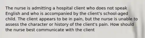 The nurse is admitting a hospital client who does not speak English and who is accompanied by the client's school-aged child. The client appears to be in pain, but the nurse is unable to assess the character or history of the client's pain. How should the nurse best communicate with the client