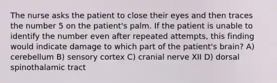 The nurse asks the patient to close their eyes and then traces the number 5 on the patient's palm. If the patient is unable to identify the number even after repeated attempts, this finding would indicate damage to which part of the patient's brain? A) cerebellum B) sensory cortex C) cranial nerve XII D) dorsal spinothalamic tract