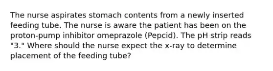 The nurse aspirates stomach contents from a newly inserted feeding tube. The nurse is aware the patient has been on the proton-pump inhibitor omeprazole (Pepcid). The pH strip reads "3." Where should the nurse expect the x-ray to determine placement of the feeding tube?