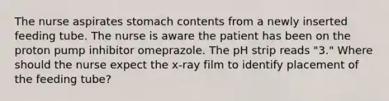 The nurse aspirates stomach contents from a newly inserted feeding tube. The nurse is aware the patient has been on the proton pump inhibitor omeprazole. The pH strip reads "3." Where should the nurse expect the x-ray film to identify placement of the feeding tube?