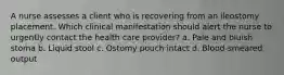A nurse assesses a client who is recovering from an ileostomy placement. Which clinical manifestation should alert the nurse to urgently contact the health care provider? a. Pale and bluish stoma b. Liquid stool c. Ostomy pouch intact d. Blood-smeared output