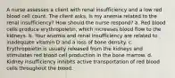 A nurse assesses a client with renal insufficiency and a low red blood cell count. The client asks, Is my anemia related to the renal insufficiency? How should the nurse respond? a. Red blood cells produce erythropoietin, which increases blood flow to the kidneys. b. Your anemia and renal insufficiency are related to inadequate vitamin D and a loss of bone density. c. Erythropoietin is usually released from the kidneys and stimulates red blood cell production in the bone marrow. d. Kidney insufficiency inhibits active transportation of red blood cells throughout the blood.