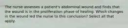 The nurse assesses a patient's abdominal wound and finds that the wound is in the proliferation phase of healing. Which changes in the wound led the nurse to this conclusion? Select all that apply.