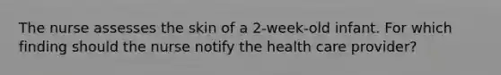 The nurse assesses the skin of a 2-week-old infant. For which finding should the nurse notify the health care provider?