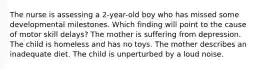 The nurse is assessing a 2-year-old boy who has missed some developmental milestones. Which finding will point to the cause of motor skill delays? The mother is suffering from depression. The child is homeless and has no toys. The mother describes an inadequate diet. The child is unperturbed by a loud noise.