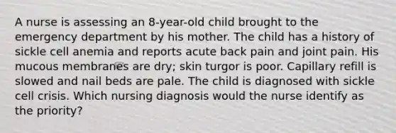 A nurse is assessing an 8-year-old child brought to the emergency department by his mother. The child has a history of sickle cell anemia and reports acute back pain and joint pain. His mucous membranes are dry; skin turgor is poor. Capillary refill is slowed and nail beds are pale. The child is diagnosed with sickle cell crisis. Which nursing diagnosis would the nurse identify as the priority?