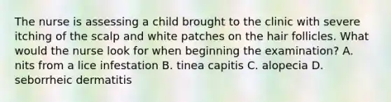 The nurse is assessing a child brought to the clinic with severe itching of the scalp and white patches on the hair follicles. What would the nurse look for when beginning the examination? A. nits from a lice infestation B. tinea capitis C. alopecia D. seborrheic dermatitis