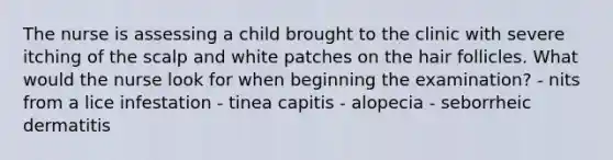 The nurse is assessing a child brought to the clinic with severe itching of the scalp and white patches on the hair follicles. What would the nurse look for when beginning the examination? - nits from a lice infestation - tinea capitis - alopecia - seborrheic dermatitis