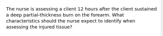 The nurse is assessing a client 12 hours after the client sustained a deep partial-thickness burn on the forearm. What characteristics should the nurse expect to identify when assessing the injured tissue?