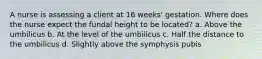 A nurse is assessing a client at 16 weeks' gestation. Where does the nurse expect the fundal height to be located? a. Above the umbilicus b. At the level of the umbilicus c. Half the distance to the umbilicus d. Slightly above the symphysis pubis