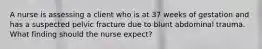 A nurse is assessing a client who is at 37 weeks of gestation and has a suspected pelvic fracture due to blunt abdominal trauma. What finding should the nurse expect?