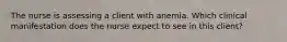 The nurse is assessing a client with anemia. Which clinical manifestation does the nurse expect to see in this client?