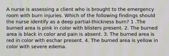 A nurse is assessing a client who is brought to the emergency room with burn injuries. Which of the following findings should the nurse identify as a deep partial-thickness burn? 1 .The burned area is pink in color with blisters present. 2. The burned area is black in color and pain is absent. 3. The burned area is red in color with eschar present. 4. The burned area is yellow in color with severe edema.