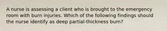 A nurse is assessing a client who is brought to the emergency room with burn injuries. Which of the following findings should the nurse identify as deep partial-thickness burn?