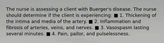 The nurse is assessing a client with Buerger's disease. The nurse should determine if the client is experiencing: ■ 1. Thickening of the intima and media of the artery. ■ 2. Inflammation and fibrosis of arteries, veins, and nerves. ■ 3. Vasospasm lasting several minutes. ■ 4. Pain, pallor, and pulselessness.