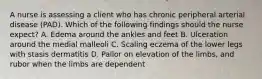 A nurse is assessing a client who has chronic peripheral arterial disease (PAD). Which of the following findings should the nurse expect? A. Edema around the ankles and feet B. Ulceration around the medial malleoli C. Scaling eczema of the lower legs with stasis dermatitis D. Pallor on elevation of the limbs, and rubor when the limbs are dependent