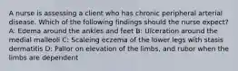 A nurse is assessing a client who has chronic peripheral arterial disease. Which of the following findings should the nurse expect? A: Edema around the ankles and feet B: Ulceration around the medial malleoli C: Scaleing eczema of the lower legs with stasis dermatitis D: Pallor on elevation of the limbs, and rubor when the limbs are dependent