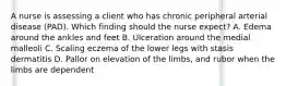 A nurse is assessing a client who has chronic peripheral arterial disease (PAD). Which finding should the nurse expect? A. Edema around the ankles and feet B. Ulceration around the medial malleoli C. Scaling eczema of the lower legs with stasis dermatitis D. Pallor on elevation of the limbs, and rubor when the limbs are dependent