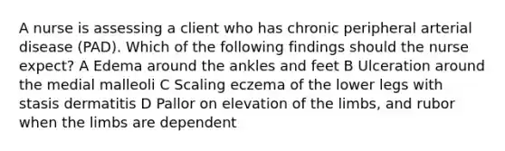 A nurse is assessing a client who has chronic peripheral arterial disease (PAD). Which of the following findings should the nurse expect? A Edema around the ankles and feet B Ulceration around the medial malleoli C Scaling eczema of the lower legs with stasis dermatitis D Pallor on elevation of the limbs, and rubor when the limbs are dependent