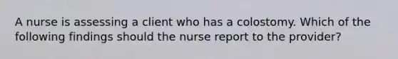 A nurse is assessing a client who has a colostomy. Which of the following findings should the nurse report to the provider?