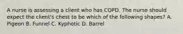 A nurse is assessing a client who has COPD. The nurse should expect the client's chest to be which of the following shapes? A. Pigeon B. Funnel C. Kyphotic D. Barrel
