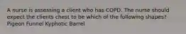 A nurse is assessing a client who has COPD. The nurse should expect the clients chest to be which of the following shapes? Pigeon Funnel Kyphotic Barrel