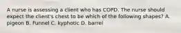 A nurse is assessing a client who has COPD. The nurse should expect the client's chest to be which of the following shapes? A. pigeon B. Funnel C. kyphotic D. barrel