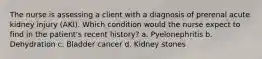 The nurse is assessing a client with a diagnosis of prerenal acute kidney injury (AKI). Which condition would the nurse expect to find in the patient's recent history? a. Pyelonephritis b. Dehydration c. Bladder cancer d. Kidney stones