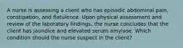 A nurse is assessing a client who has episodic abdominal pain, constipation, and flatulence. Upon physical assessment and review of the laboratory findings, the nurse concludes that the client has jaundice and elevated serum amylase. Which condition should the nurse suspect in the client?