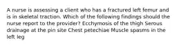 A nurse is assessing a client who has a fractured left femur and is in skeletal traction. Which of the following findings should the nurse report to the provider? Ecchymosis of the thigh Serous drainage at the pin site Chest petechiae Muscle spasms in the left leg