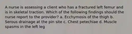 A nurse is assessing a client who has a fractured left femur and is in skeletal traction. Which of the following findings should the nurse report to the provider? a. Ecchymosis of the thigh b. Serous drainage at the pin site c. Chest petechiae d. Muscle spasms in the left leg