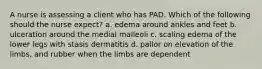 A nurse is assessing a client who has PAD. Which of the following should the nurse expect? a. edema around ankles and feet b. ulceration around the medial malleoli c. scaling edema of the lower legs with stasis dermatitis d. pallor on elevation of the limbs, and rubber when the limbs are dependent