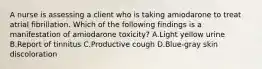 A nurse is assessing a client who is taking amiodarone to treat atrial fibrillation. Which of the following findings is a manifestation of amiodarone toxicity? A.Light yellow urine B.Report of tinnitus C.Productive cough D.Blue‑gray skin discoloration