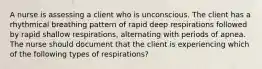 A nurse is assessing a client who is unconscious. The client has a rhythmical breathing pattern of rapid deep respirations followed by rapid shallow respirations, alternating with periods of apnea. The nurse should document that the client is experiencing which of the following types of respirations?