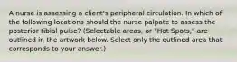 A nurse is assessing a client's peripheral circulation. In which of the following locations should the nurse palpate to assess the posterior tibial pulse? (Selectable areas, or "Hot Spots," are outlined in the artwork below. Select only the outlined area that corresponds to your answer.)