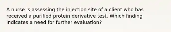 A nurse is assessing the injection site of a client who has received a purified protein derivative test. Which finding indicates a need for further evaluation?