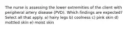 The nurse is assessing the lower extremities of the client with peripheral artery disease (PVD). Which findings are expected? Select all that apply. a) hairy legs b) coolness c) pink skin d) mottled skin e) moist skin