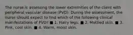 The nurse is assessing the lower extremities of the client with peripheral vascular disease (PVD). During the assessment, the nurse should expect to find which of the following clinical manifestations of PVD? ■ 1. Hairy legs. ■ 2. Mottled skin. ■ 3. Pink, cool skin. ■ 4. Warm, moist skin.