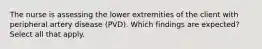 The nurse is assessing the lower extremities of the client with peripheral artery disease (PVD). Which findings are expected? Select all that apply.