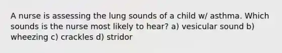 A nurse is assessing the lung sounds of a child w/ asthma. Which sounds is the nurse most likely to hear? a) vesicular sound b) wheezing c) crackles d) stridor